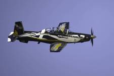 53857924209_31cdc85612_o_original_copy_1