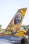 Tiger-tail-Kenny--3_original